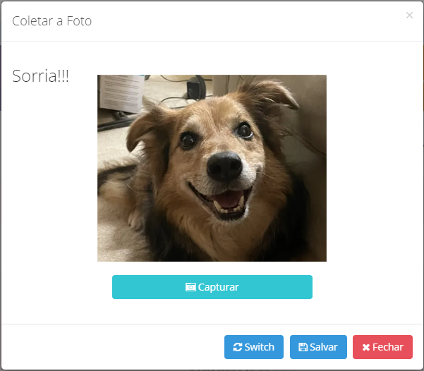 Tela de Captura da Foto